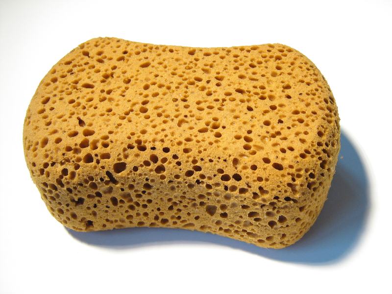 Better Sponge