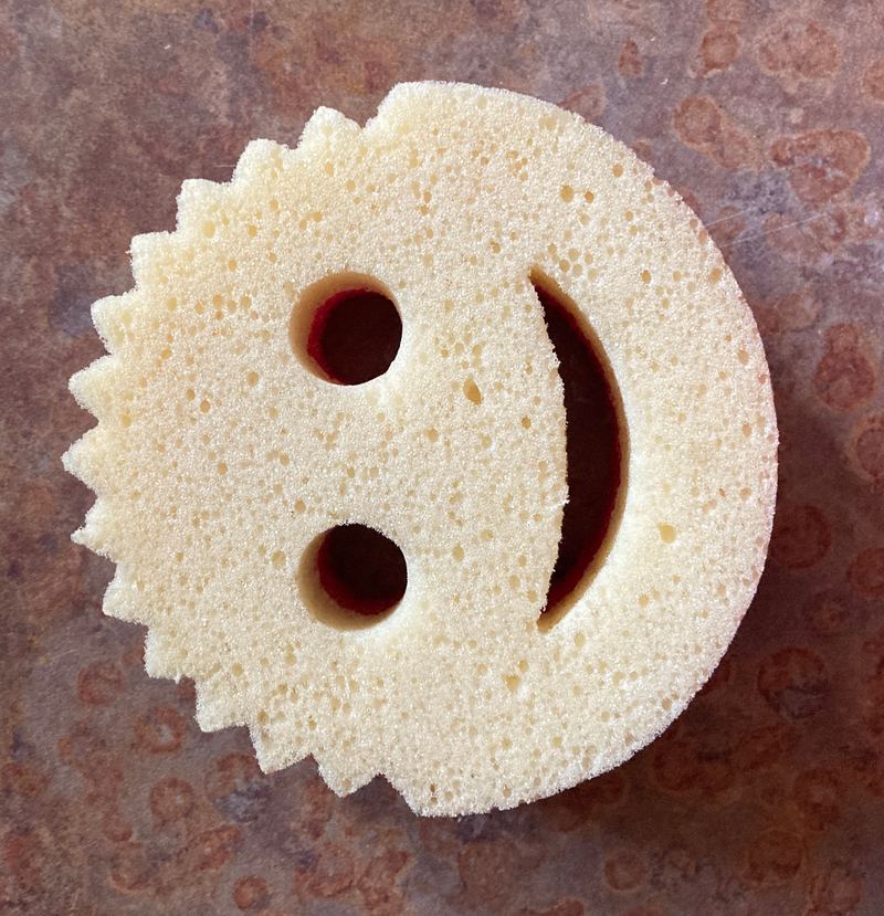 Scrub Daddy Sponge